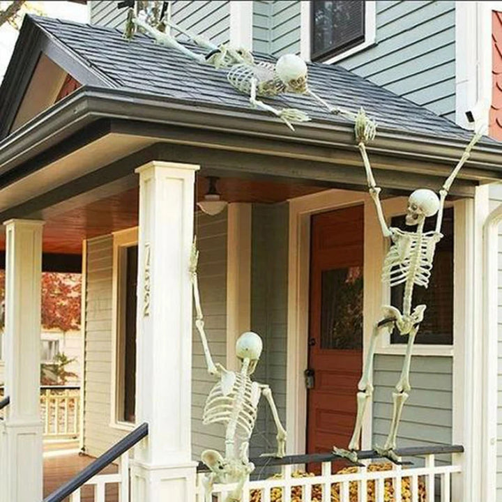 Haunted Skull & Bones Décor